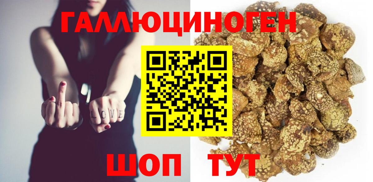 Донской  Галлюциногенные грибы Magic Shrooms  Вход с VPN 
