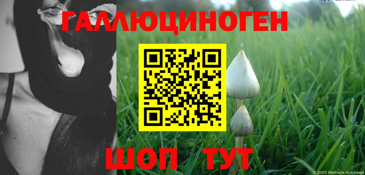 Галлюциногенные грибы MAGIC MUSHROOMS Донской